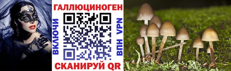 Купить где  Курлово  Галлюциногенные грибы мухоморы 